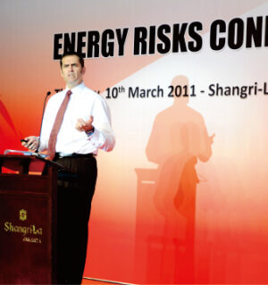 reforganizer.com Agency risk (2)